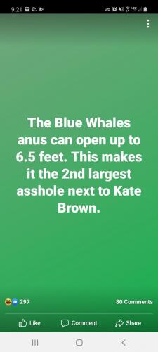 23:38:20 GMT-0800 (PST)