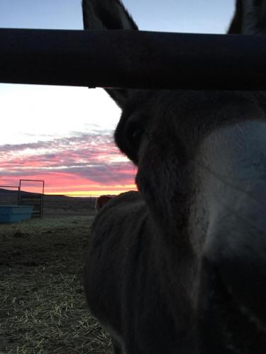 20:11:43 GMT-0800 (PST).image