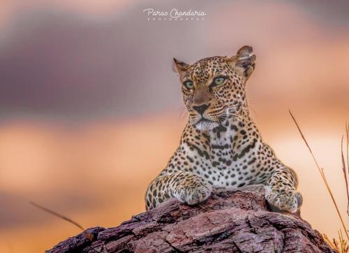 133455256_222704679411326_8167500079284077621_n