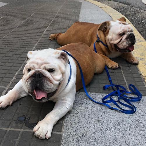 00:04:55 GMT+0100 (WAT).image