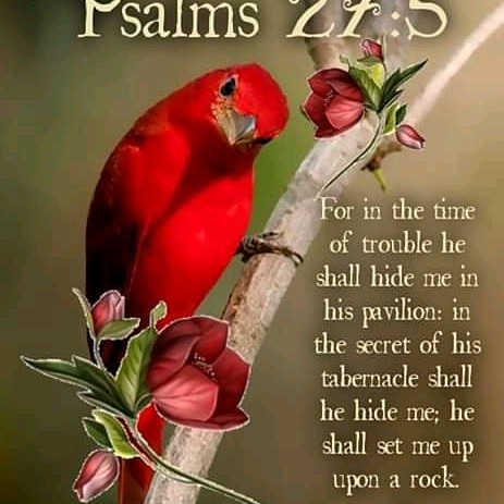 23:06:25 GMT+0100 (WAT)