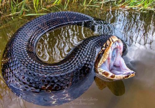 129407689_3351305728314613_7826716305767100492_n