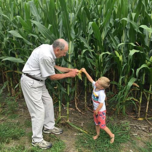 01:01:17 GMT-0600 (CST).image