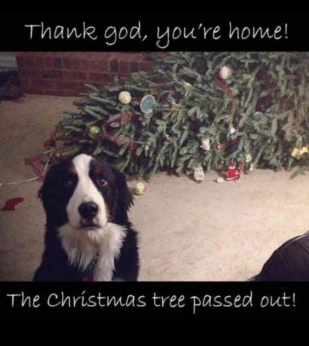 07:28:39 GMT-0500 (EST)