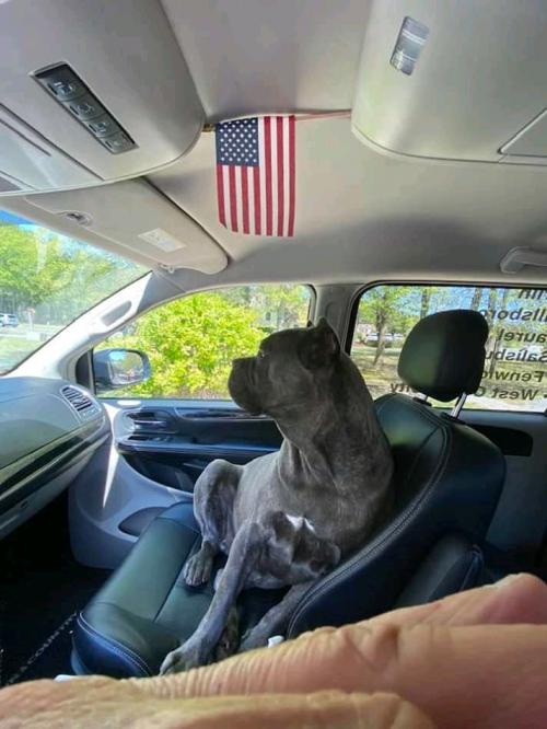 10:19:36 GMT+0100 (WAT)