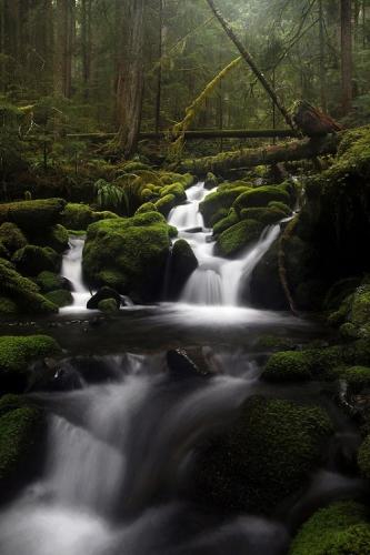 tumblr_p4ryl1C3Am1rnheglo1_500