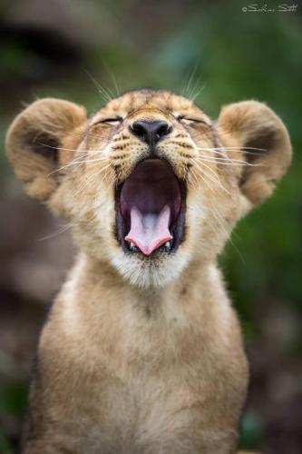 03:37:12 GMT-0600 (CST)