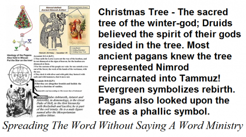 131342534_412682033411880_7900664036528372450_n