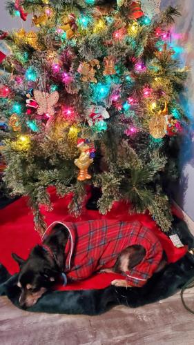 22:09:36 GMT-0500 (EST)