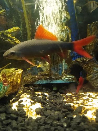 05:12:40 GMT-0600 (CST)