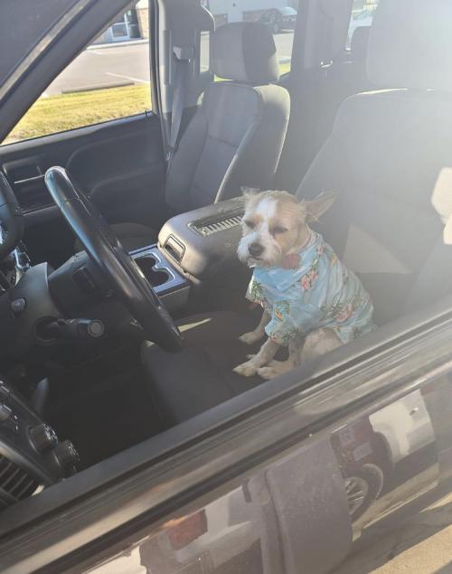 23:12:56 GMT+0100 (WAT).image