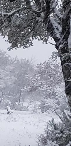 17:52:10 GMT-0600 (CST)