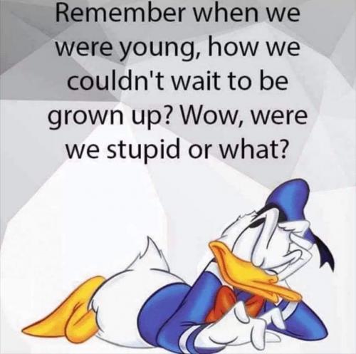 16:31:09 GMT-0700 (MST).image