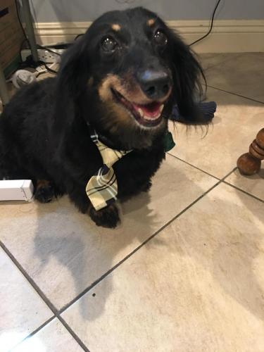 00:09:54 GMT-0800 (PST).image