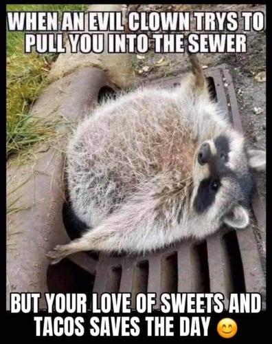 128664004_3838520452867256_865859141204089876_n