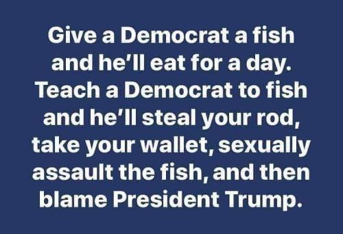 democratssteal