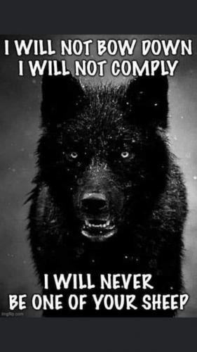 FB_IMG_1606989240195