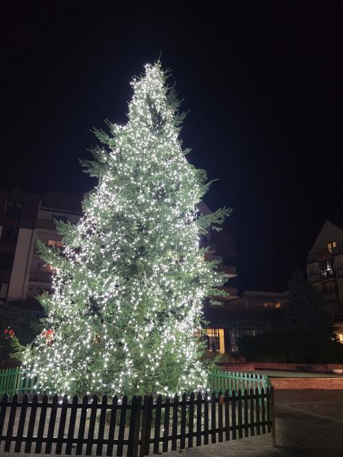 14:01:32 GMT+0100 (WAT)