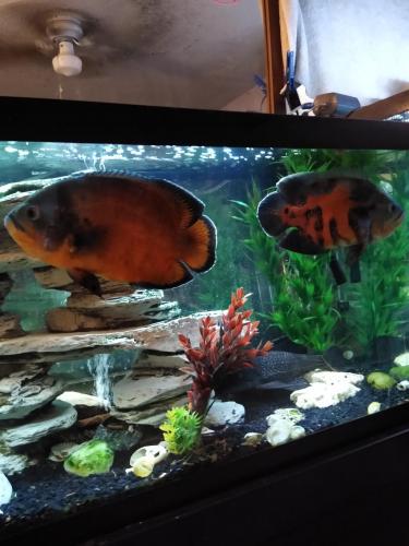 05:30:24 GMT-0600 (CST)