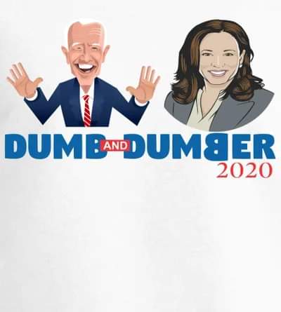 Dumb and Dumber 2020