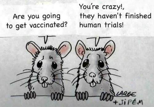 19:19:48 GMT-0600 (CST)