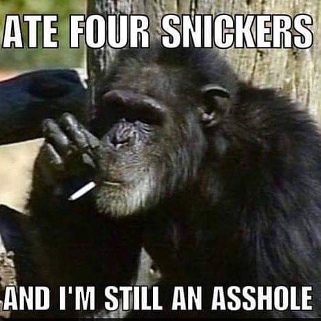 3CA36B98-4656-469D-A833-83C03614DD30-17125-00000D58D72FC0A3