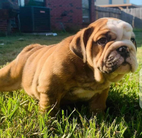 03:25:53 GMT+0100 (WAT).png