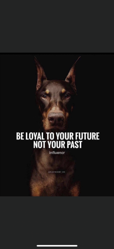 15:33:09 GMT-0600 (CST).image