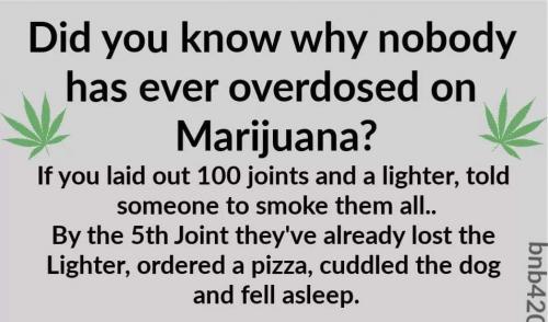 19:33:23 GMT-0500 (EST)