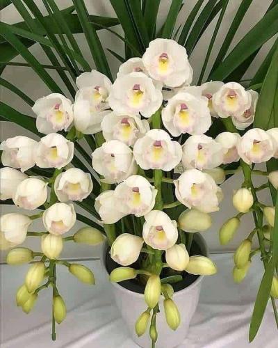 14:41:10 GMT+0100 (WAT)