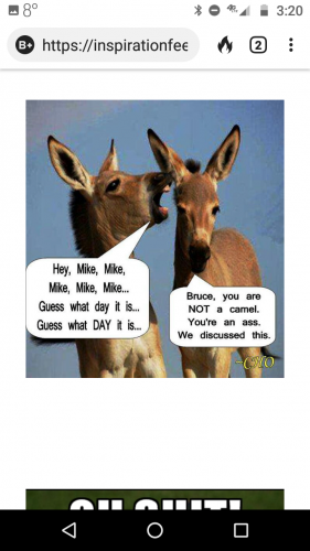 15:22:32 GMT-0900 (AKST)