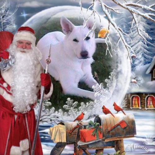 25552098_661708337552753_6810910609021510005_n