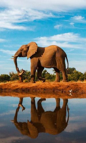 tumblr_8b7983bcc417bdbc3710a72649f0b14d_ecd099bd_640