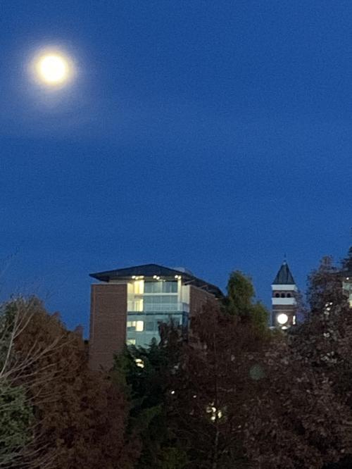 BC6BF43B-540B-4C30-A1BB-86A013C94C18