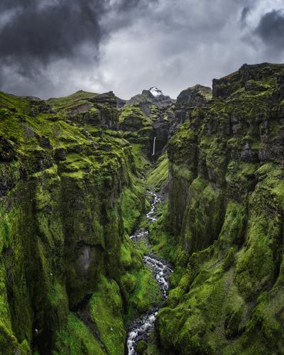 132730955_3298905170214650_8204409300804951248_o