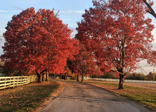 01:11:27 GMT+0100 (WAT).png