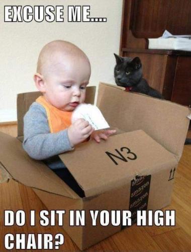 04:17:29 GMT-0600 (CST)