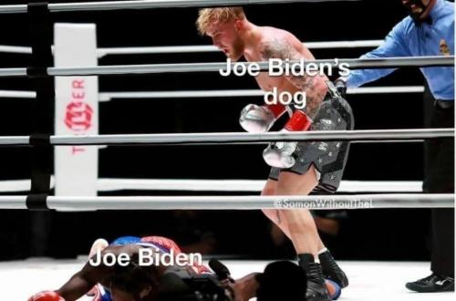 19:14:07 GMT-0600 (CST).image