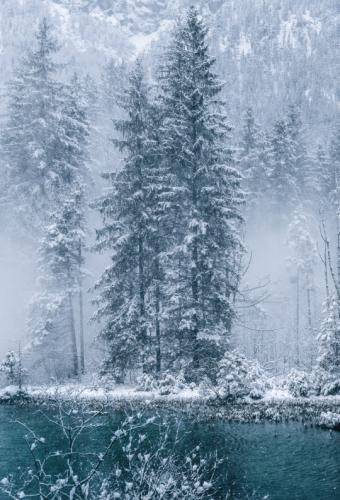 tumblr_1ee31d2f7f41716f463853df9bdf3cef_d05a7f4b_540