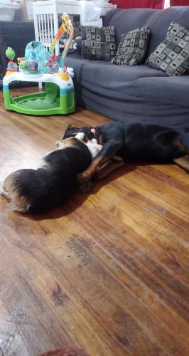 10:37:27 GMT-0800 (PST)