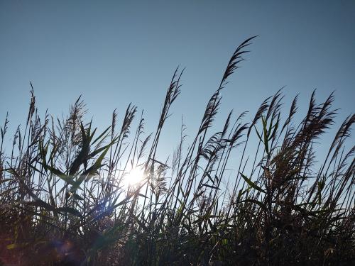 07:32:26 GMT-0500 (EST)