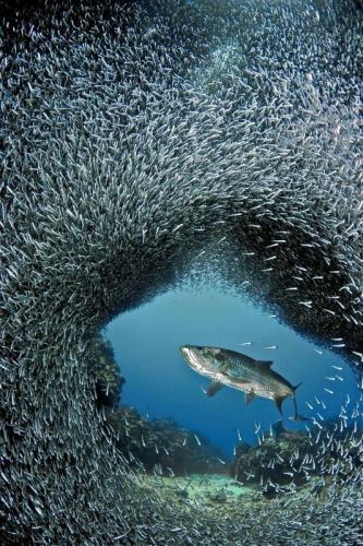 tumblr_dc48dc0607ab0d0ad67aa4049c79b692_0a3a9fa1_540