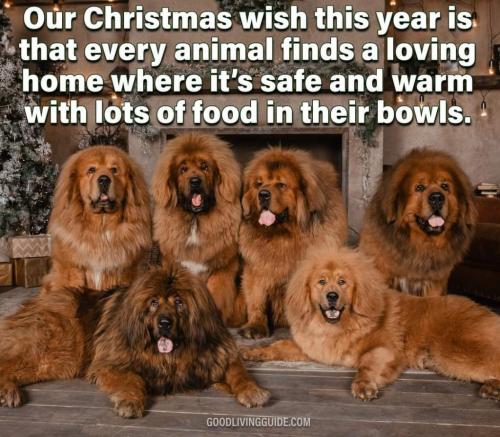 13:29:52 GMT-0500 (EST)