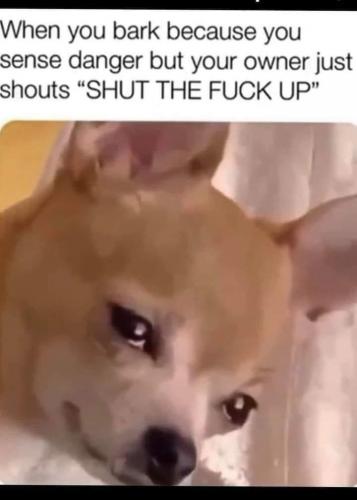 785B12C1-C934-4A49-B56D-3566204198BE-10264-0000101C9A8D6250