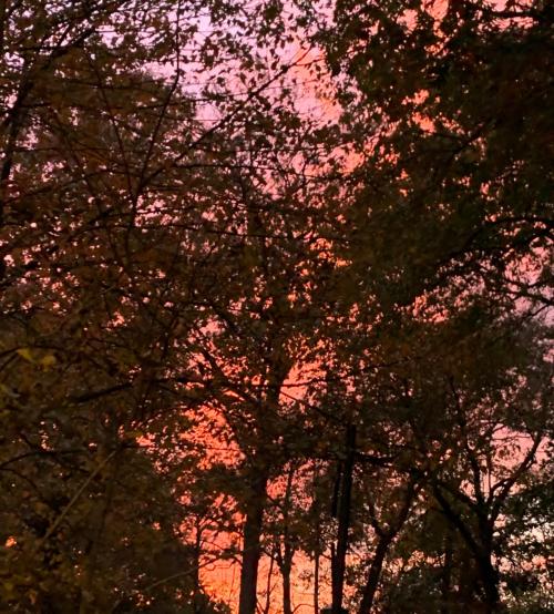 14:12:04 GMT+0100 (WAT).image