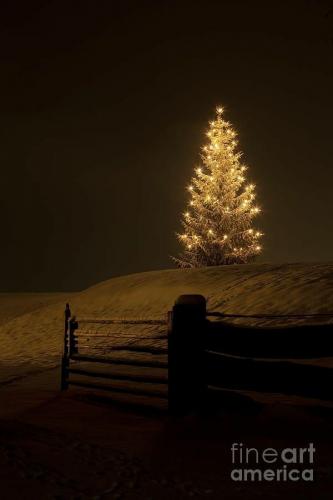 21:41:42 GMT-0600 (CST)