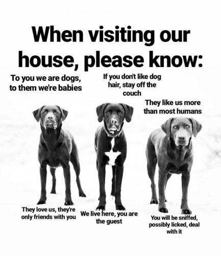 10:09:30 GMT-0500 (EST)