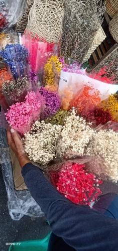 17:23:56 GMT+0100 (WAT)