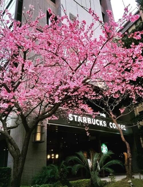 01:02:16 GMT+0100 (WAT)