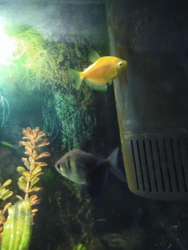 05:18:34 GMT-0600 (CST)